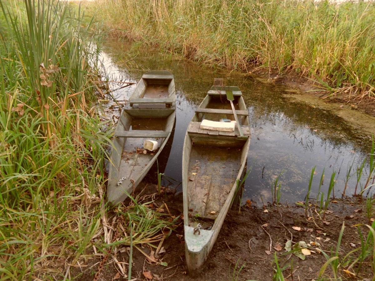 Noclegi Nad Biebrza Stara Szkola Wrocen Luaran gambar