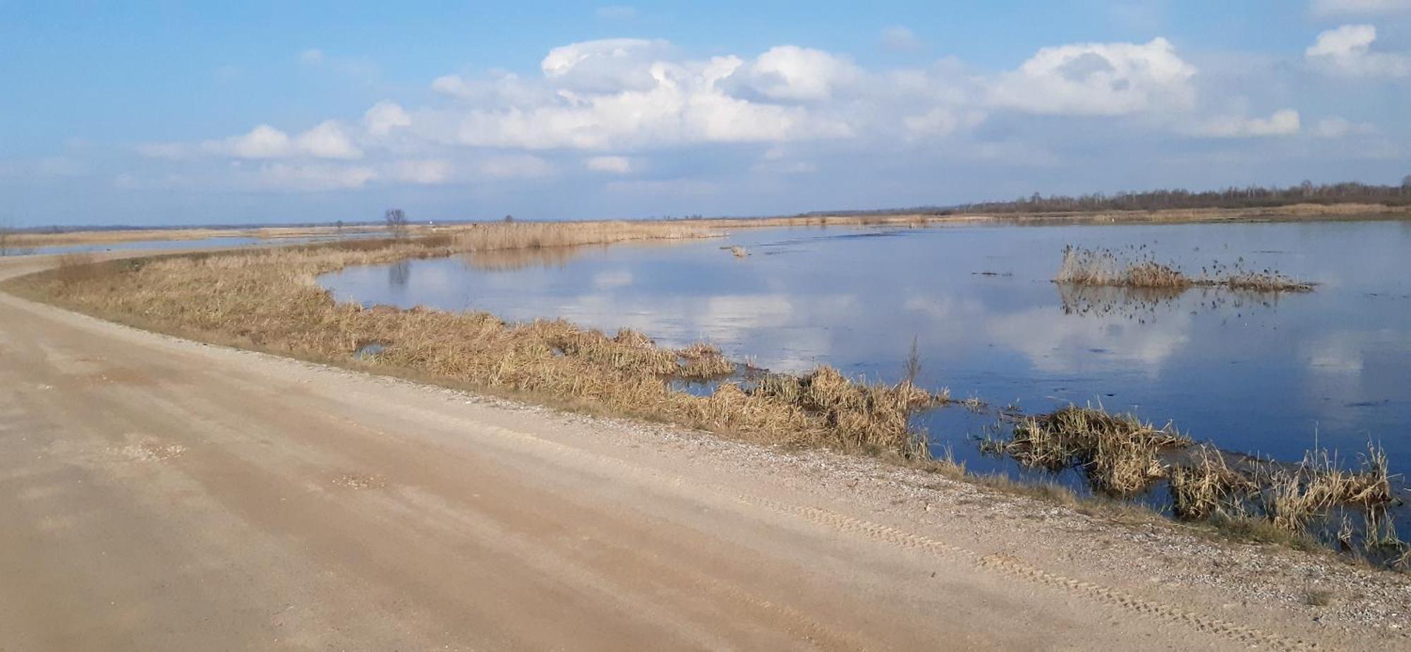 Noclegi Nad Biebrza Stara Szkola Wrocen Luaran gambar