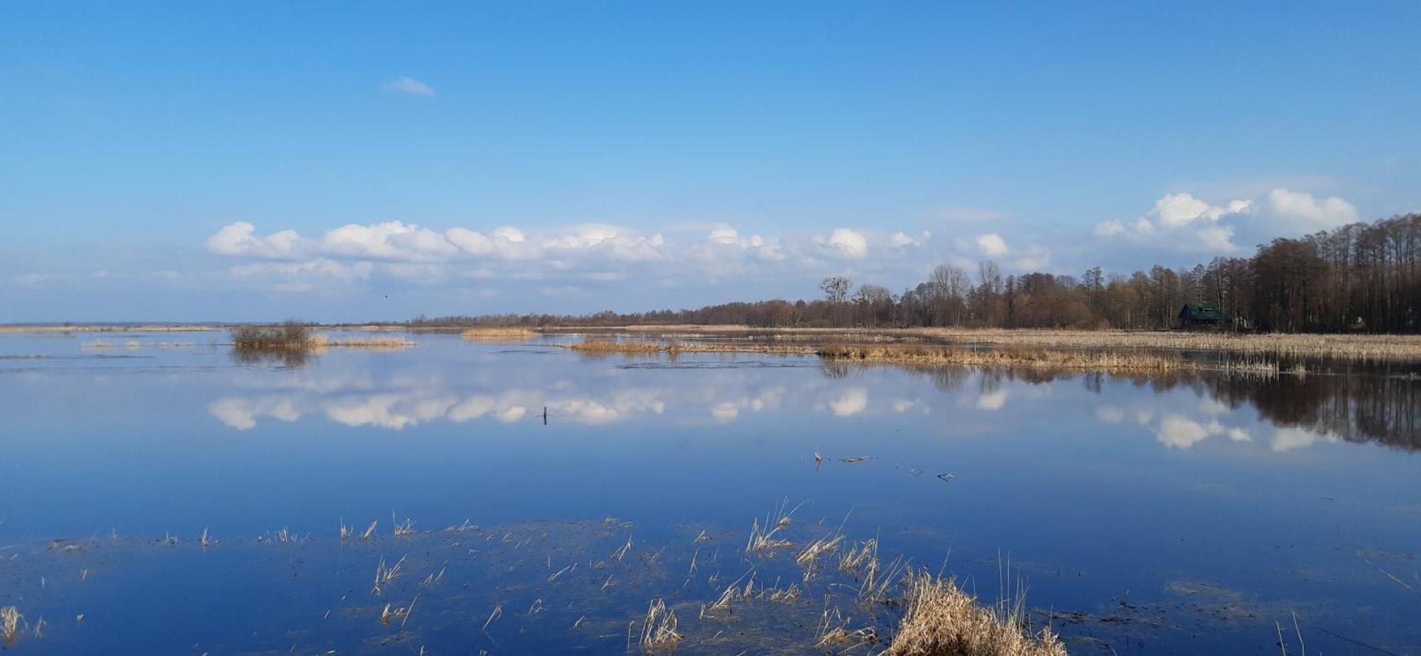 Noclegi Nad Biebrza Stara Szkola Wrocen Luaran gambar