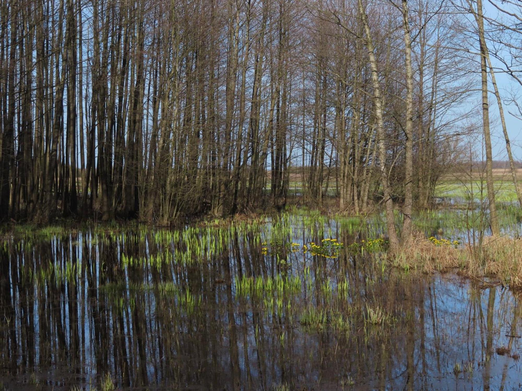 Noclegi Nad Biebrza Stara Szkola Wrocen Luaran gambar